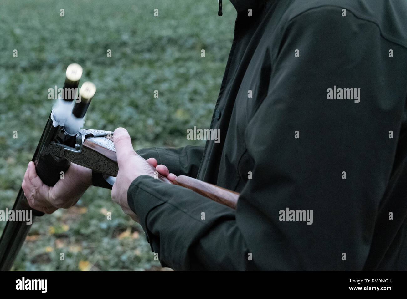 Traditionelle englische Spiel im Herbst Landschaft mit Gewehr Hunde. Stockfoto