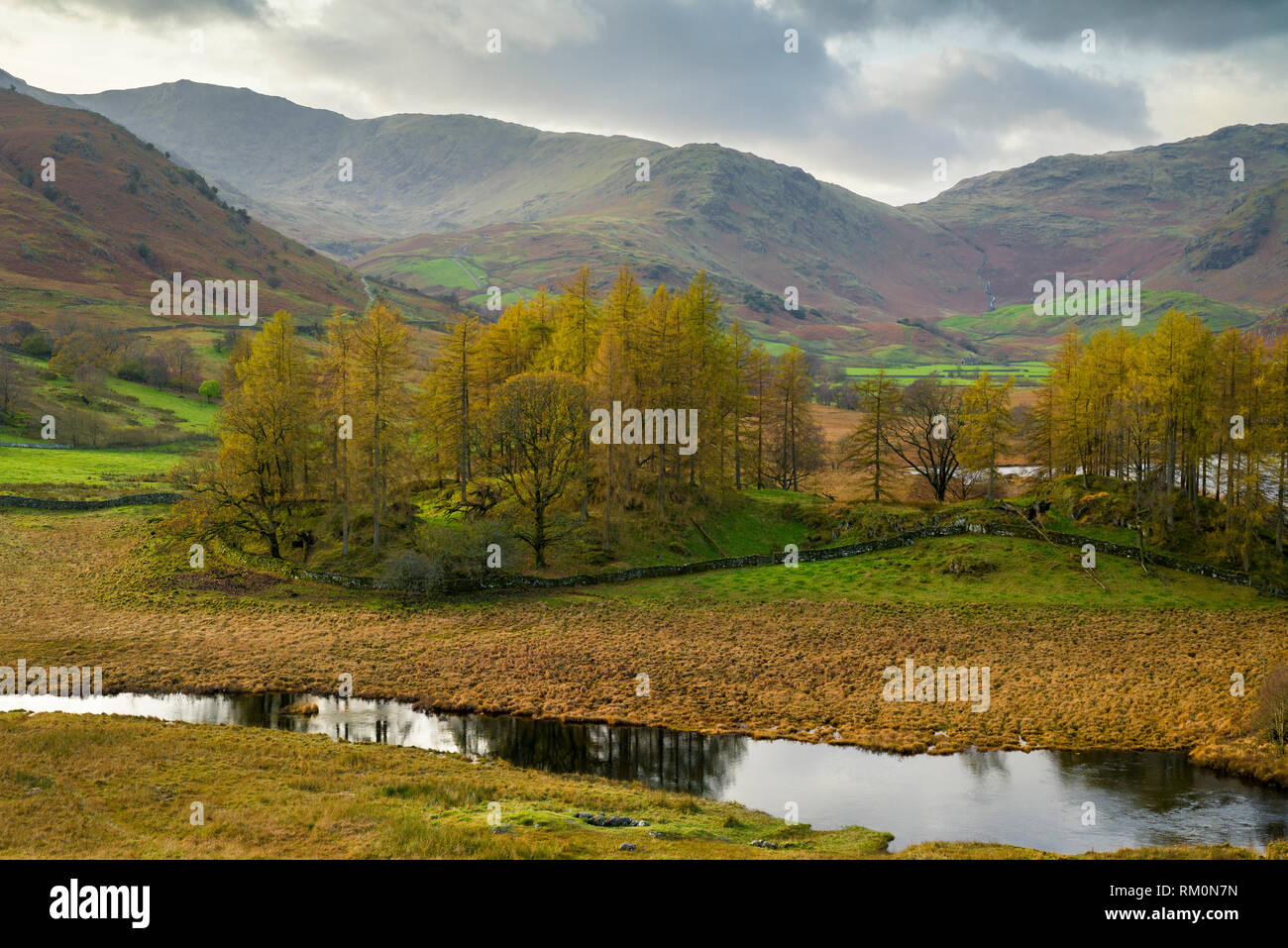 Herbstliche Blick auf den Fluss Brathay im Nationalpark Lake District, Cumbria, England. Stockfoto