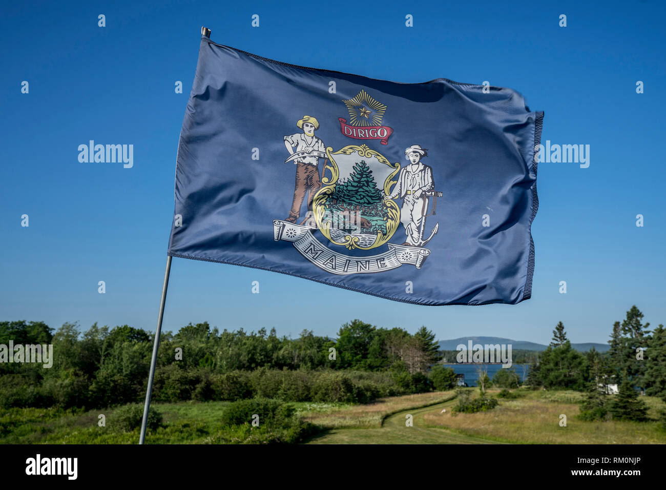 Die Maine Flagge flattert im Wind über Acadia National Park in den USA. Stockfoto