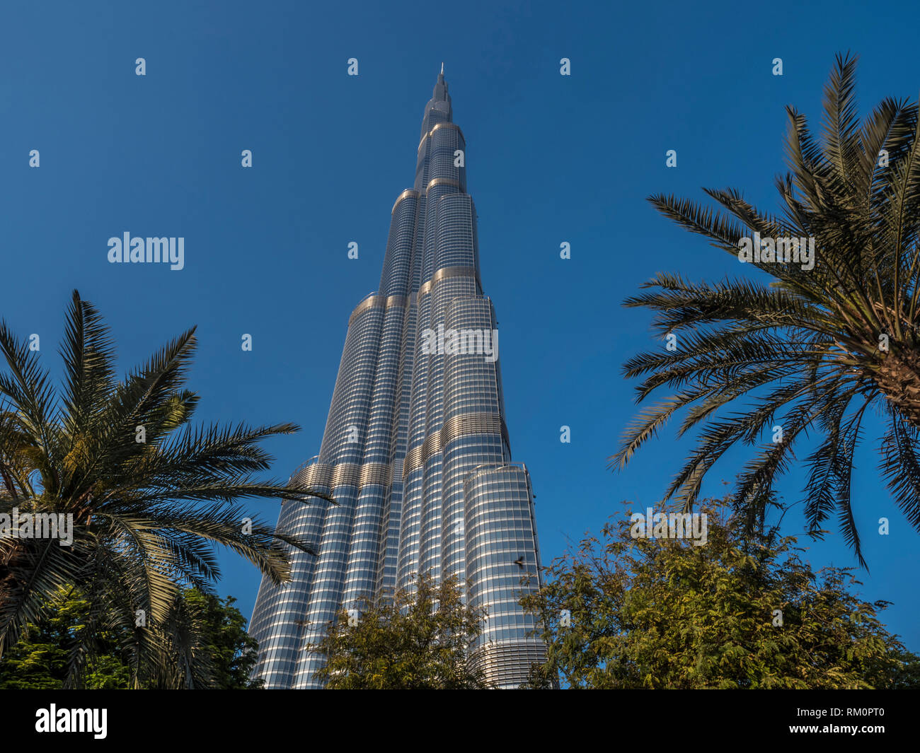 Der Burj Khalifa steigt über Dattelpalmen in der Oase in der Wüste von Dubai. Stockfoto