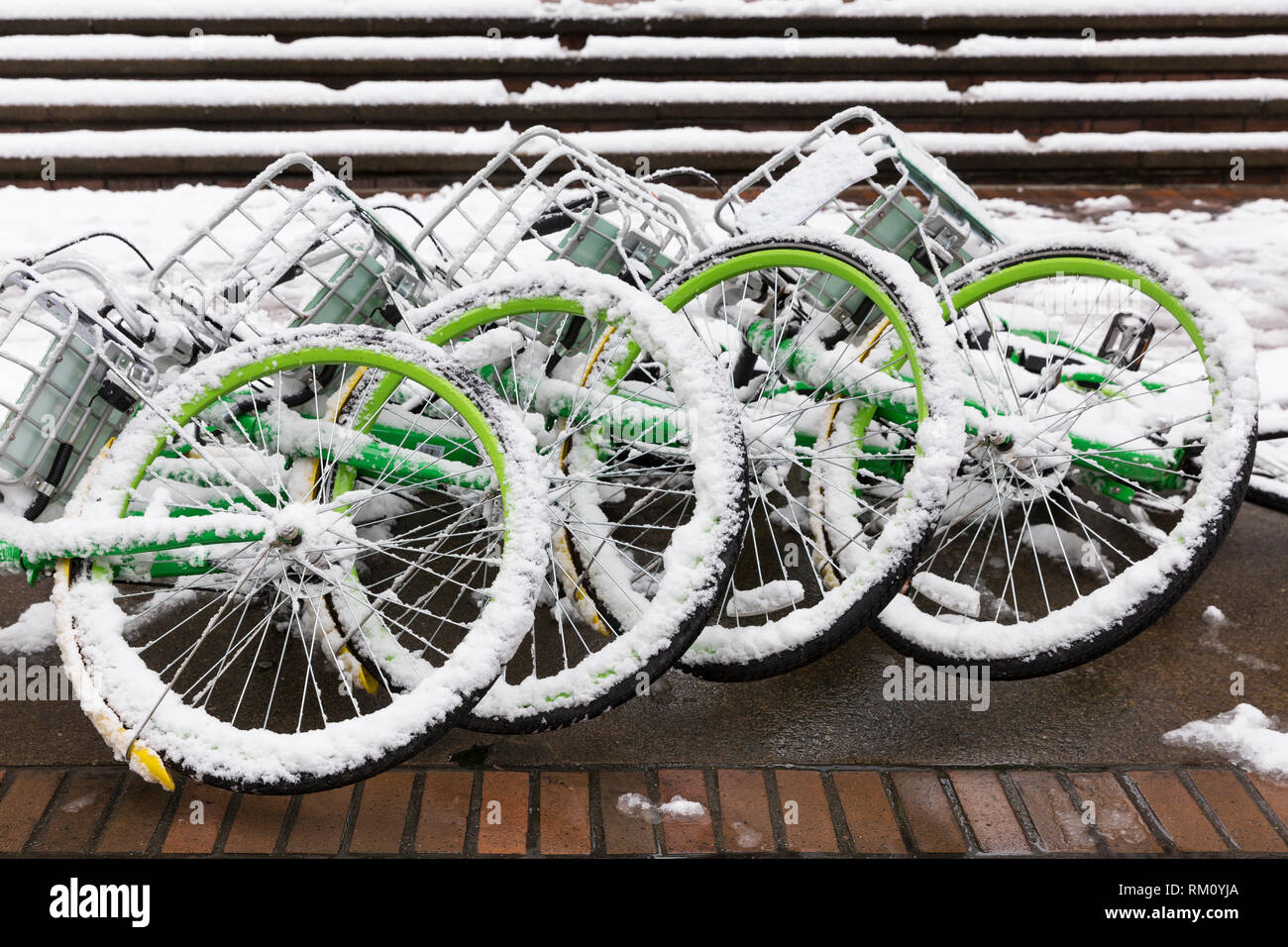 Seattle, Washington: eine Sammlung von LimeBikes am Henry M.Jackson Federal Building Lüge gefallen als starker Wintersturm decken die Stadt in sechs i Stockfoto