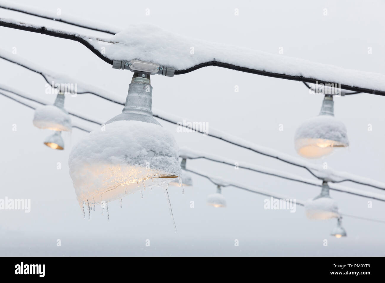 Seattle, Washington: Frozen Lampen über den Pike Place MarketFront als starker Wintersturm decken die Stadt in sechs Zentimeter Schnee. Stockfoto