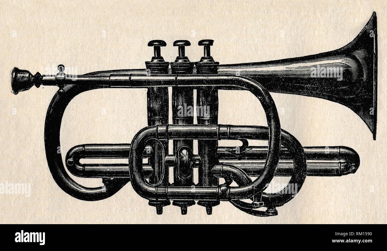 "Cornet", 1910. Schöpfer: Unbekannt. Stockfoto