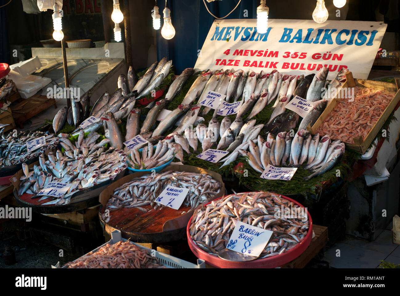 Fisch vorgestellt für den Verkauf auf dem Markt in Istanbul Stockfoto