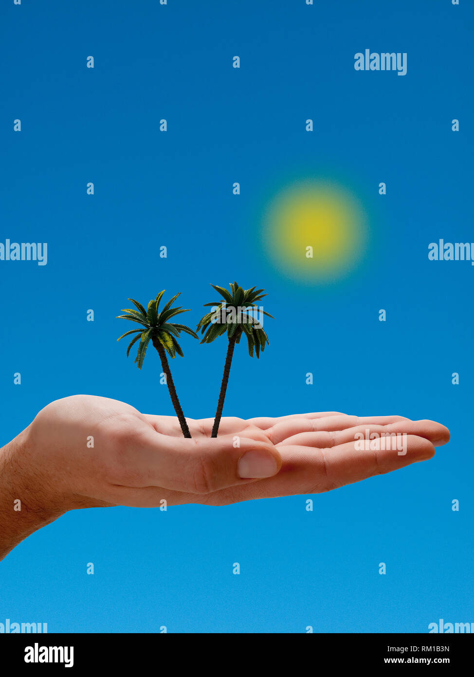 Das lustige Bild mit einer Hand, die zwei Palmen auf dem blauen Hintergrund hält Stockfoto Das lustige Bild mit einer Hand, die zwei Palmen auf dem blauen Hintergrund hält Stockfoto