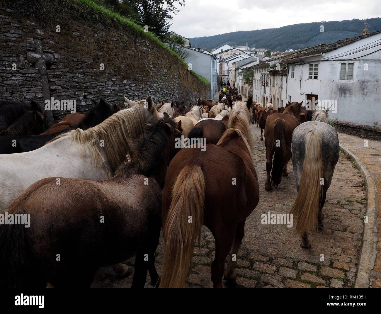 Mondoñedo, Lugo.-San Lucas 2017.- Cabalar Fair. - Abstieg von wilden Pferden, zu Beginn der als San Lucas Festlichkeiten. Seit dem XII. Es hat Stockfoto