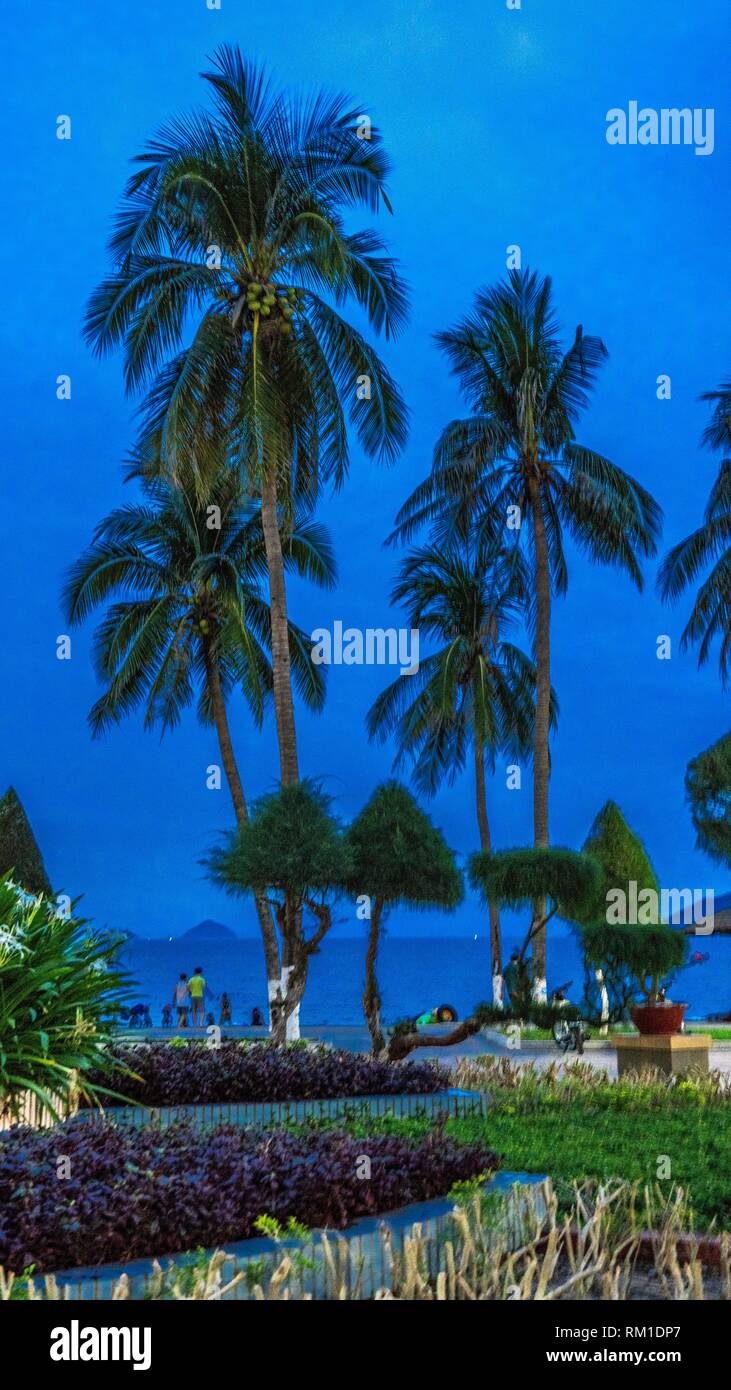 Vietnam, Nha Trang, Palmenstrand, Sunrise, Asien, Südostasien, Strand, Strand, Palmen, Meer blick Stockfoto
