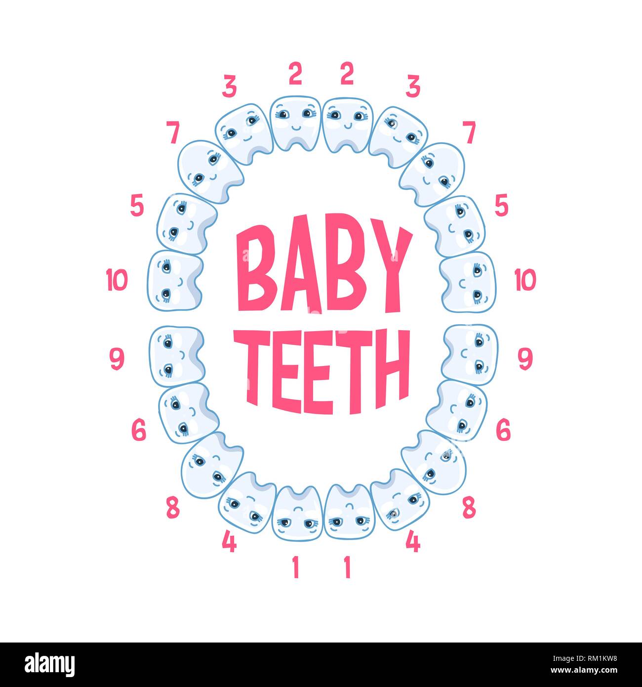Baby Zahne In Einem Kind Zahne Infografiken Vector Illustration