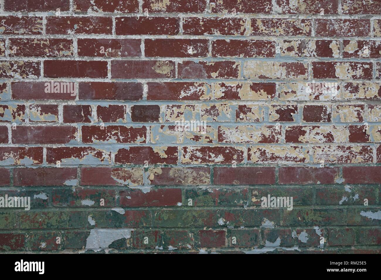 Nahaufnahme Oberfläche Muster einer alten Mauer mit grüner und gelber Farbe Grau strukturierten Hintergrund Stockfoto