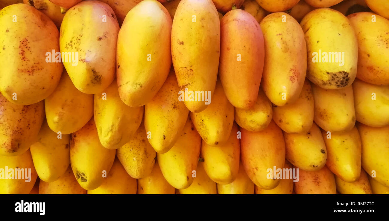 Stapel Stapel frisch isoliert Mangos Stockfoto