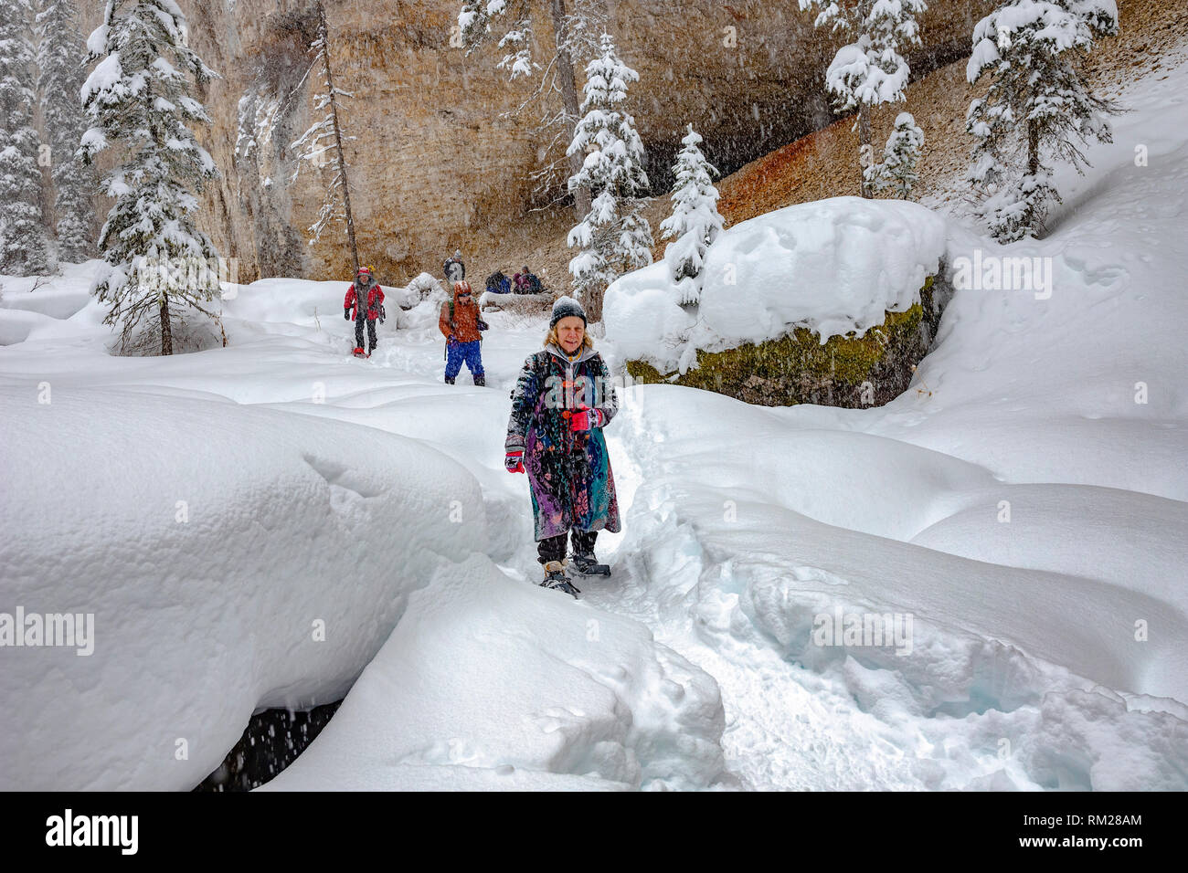 WY 03632-00 ... WYOMING - Schneeschuhwandern im Pabble Creek Canyon, Yellowstone National Park. Stockfoto