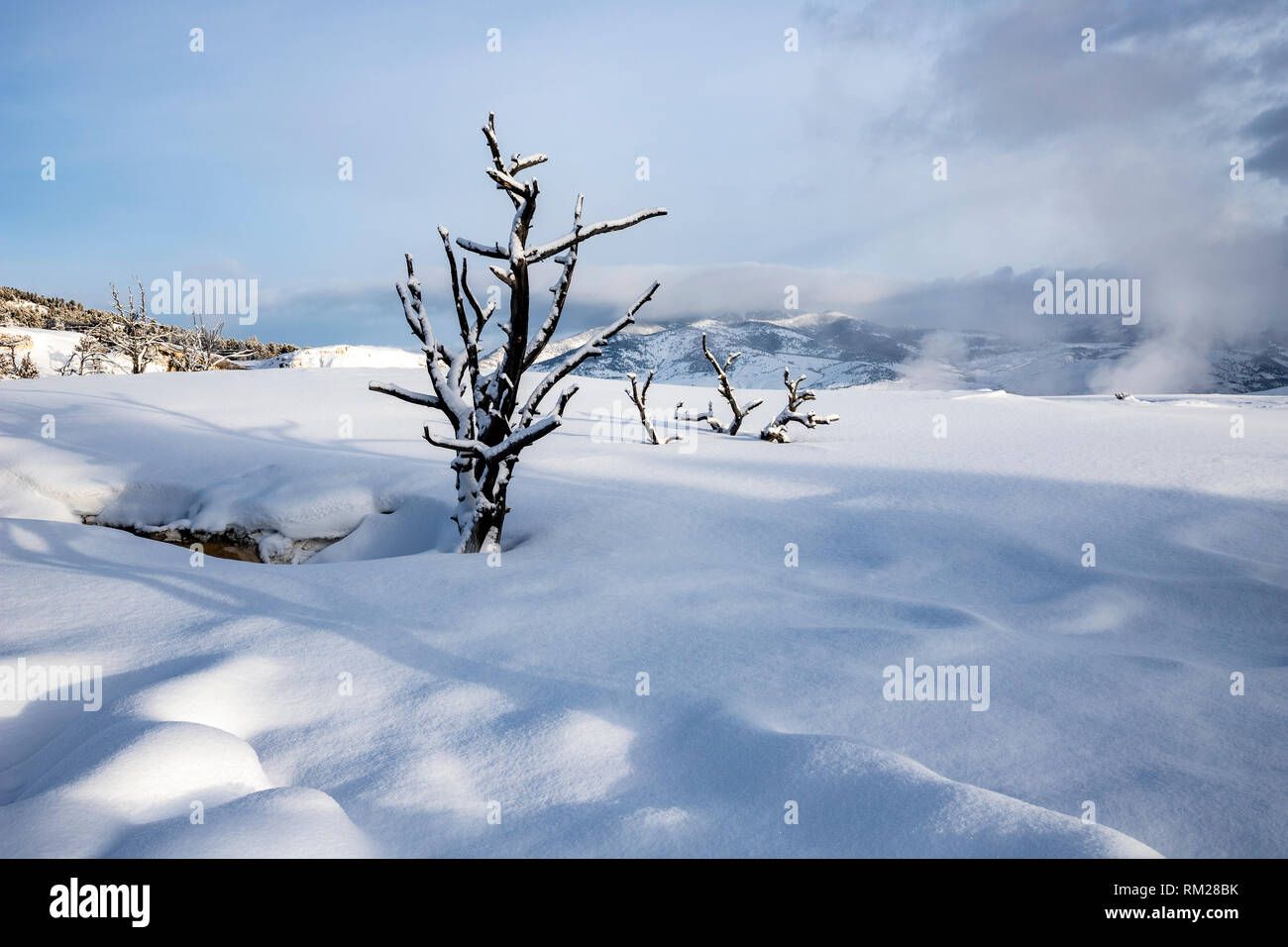WY 03637-00 ... WYOMING - Schnee oberen Terrassen von Mammoth Hot Springs, Yellowstone National Park. Stockfoto