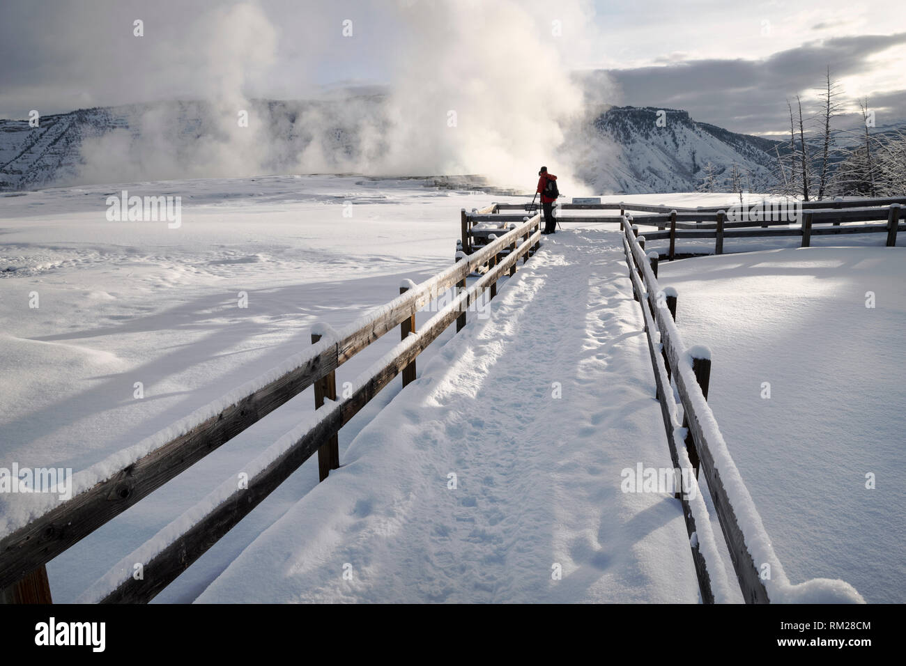 WY 03641-00 ... WYONING - Schnee oberen Terrassen von Mammoth Hot Springs, Yellowstone National Park. Stockfoto