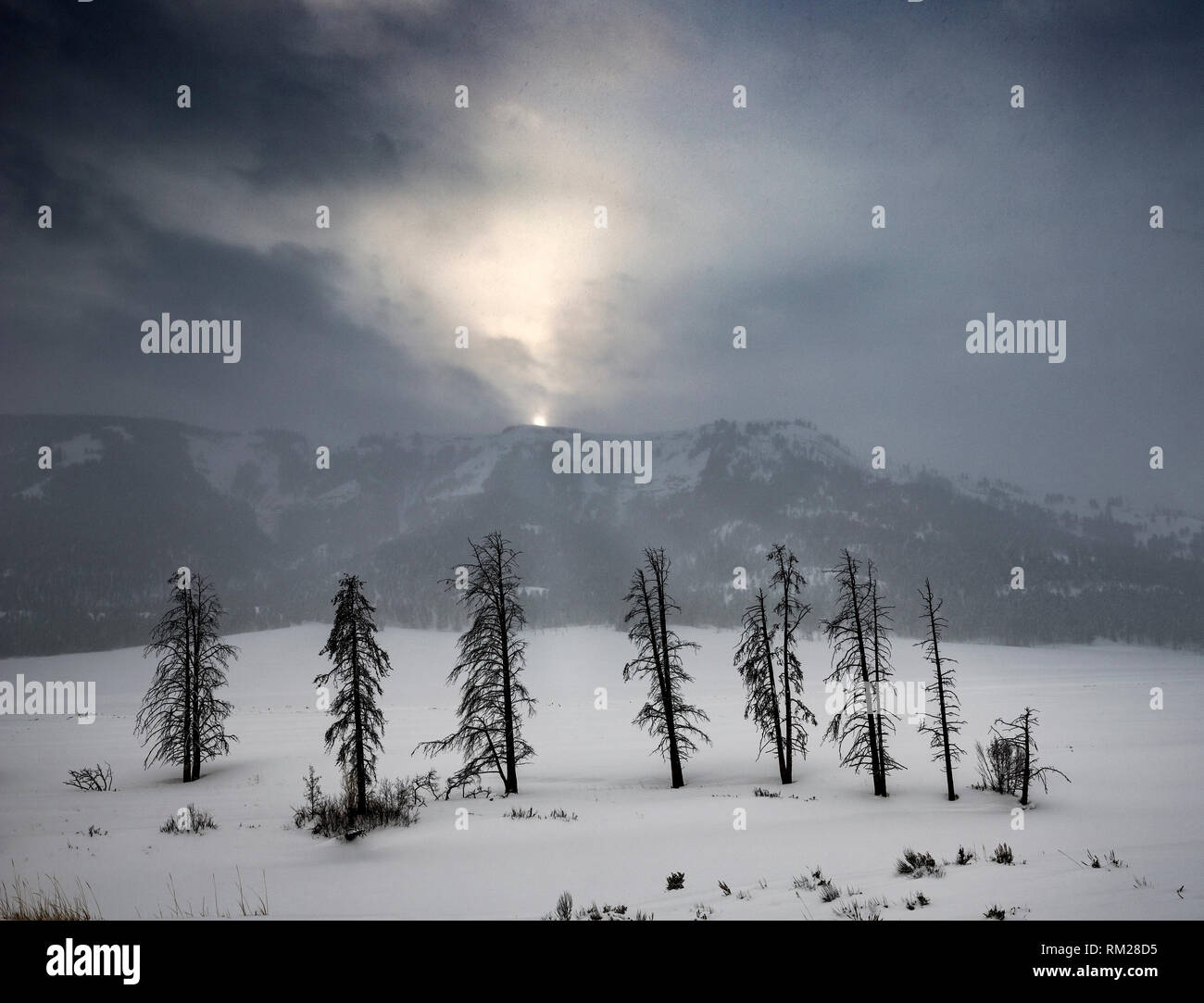 WY 03646-00 ... WYOMING - stürmischen Tag im Lamar Tal des Yellowstone National Park Stockfoto