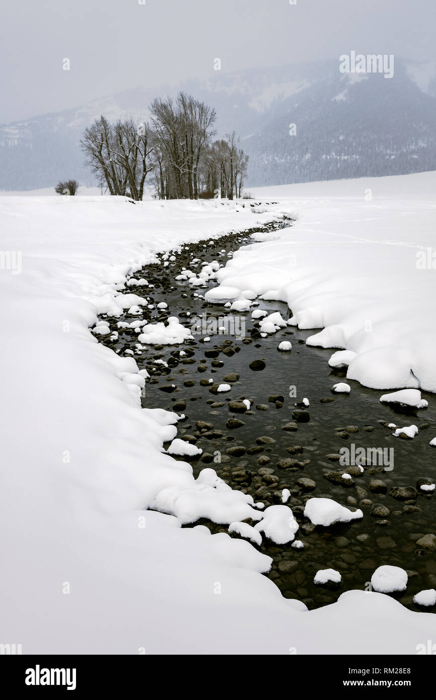 WY 03649-00 ... WYOMING - stürmischen Tag im Lamar Tal des Yellowstone National Park. Stockfoto