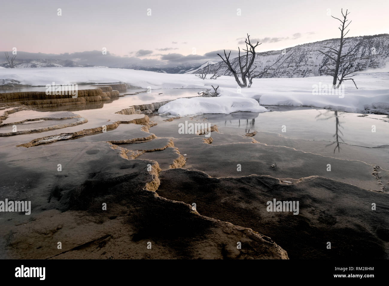 WY 03616-00 ... WYOMING - Pre dawn Licht auf der oberen Terrasse des Mamoth heißen Quellen im Yellowstone National Park. Stockfoto
