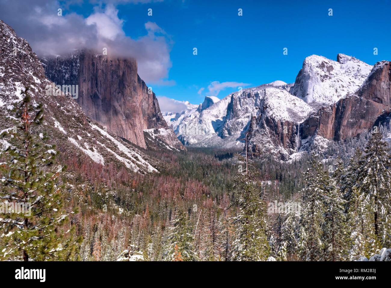 Frühling Schnee auf Yosemite Valley, Yosemite NP, USA. Stockfoto