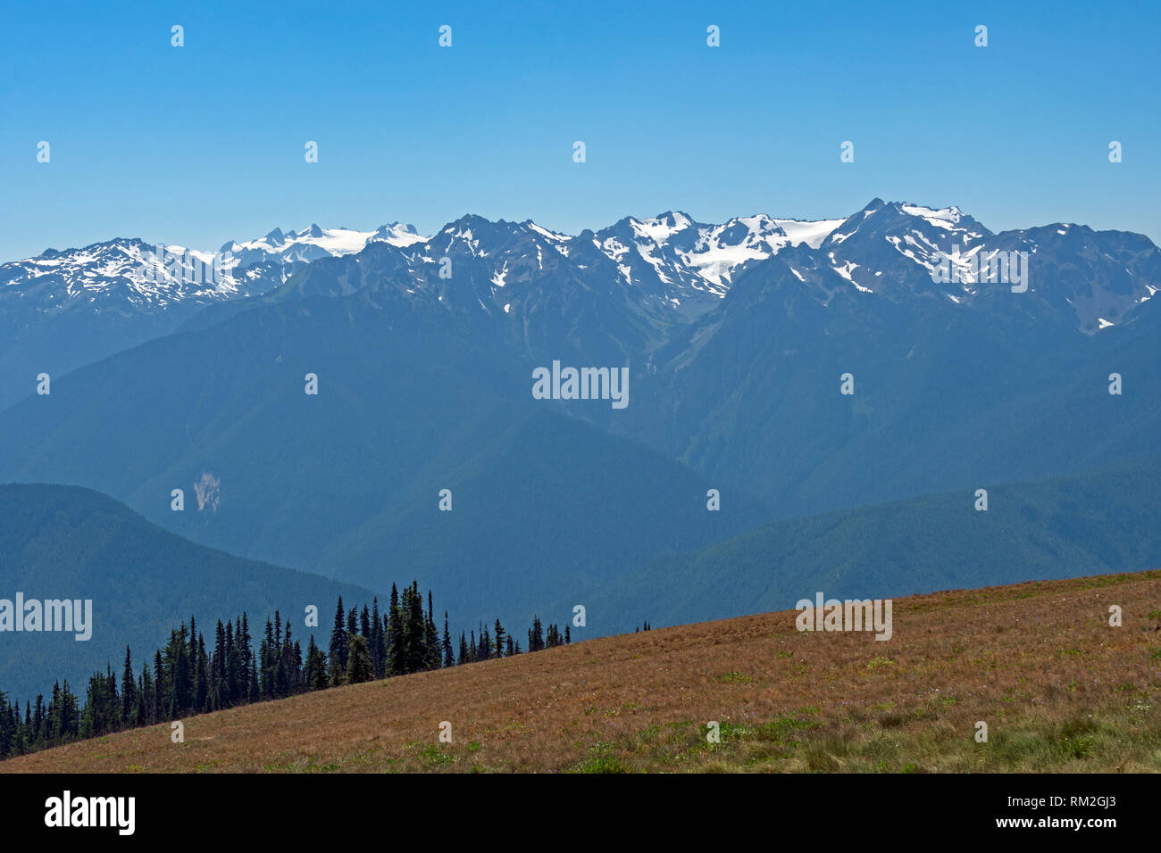 Die Olympischen Berge von Hurrican Ridge an einem sonnigen Tag in Olympic National Park in Washington gesehen Stockfoto