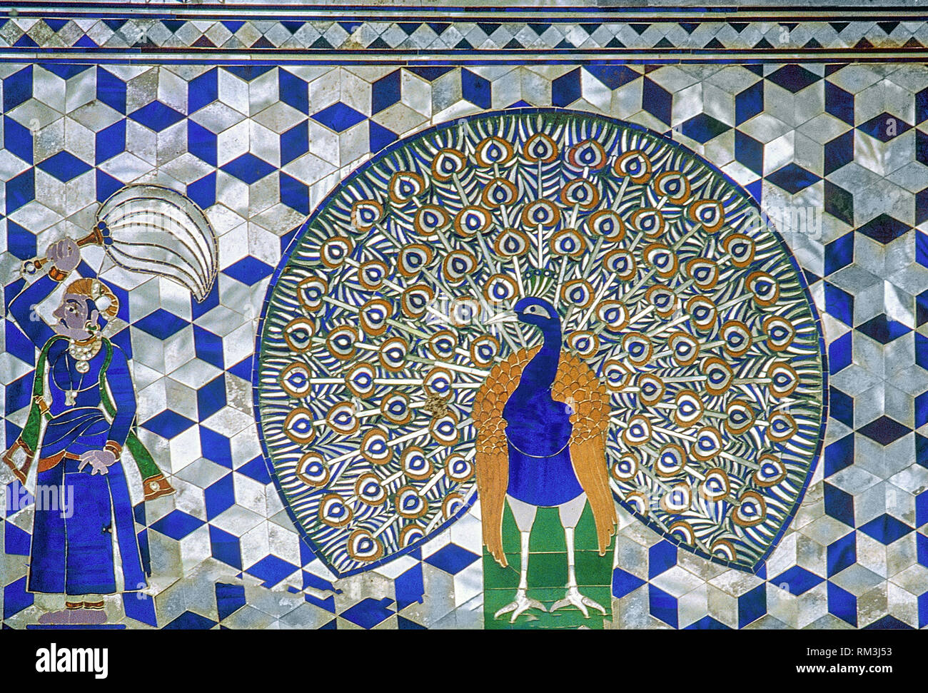 Glas, 2-fach, Flansch zurückgesetzt, Pfau, Udaipur, Rajasthan, Indien, Asien Stockfoto