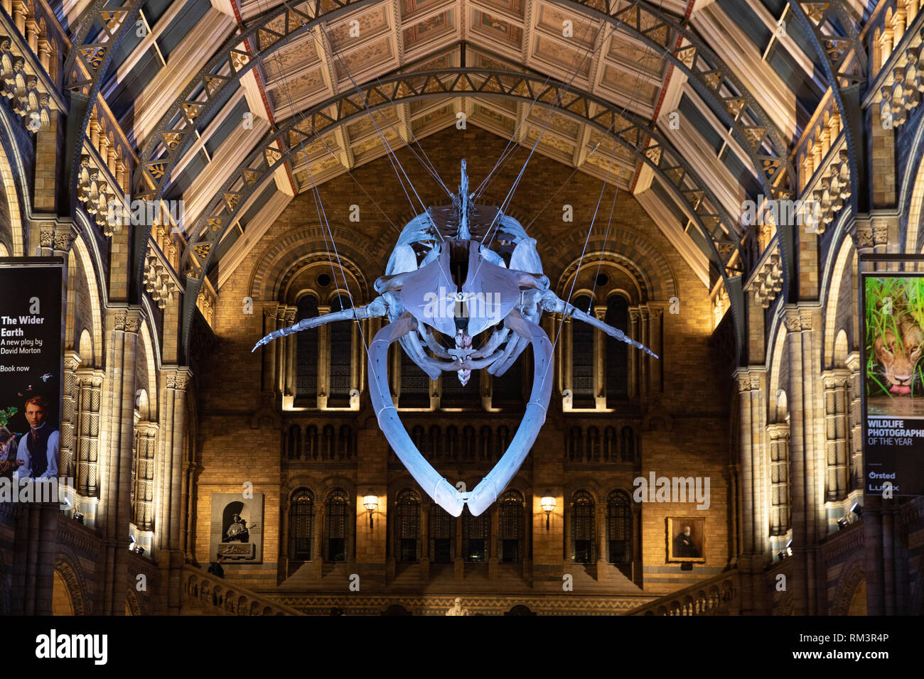 Das Natural History Museum, London, UK Stockfoto