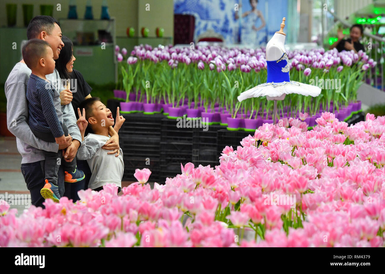 (237449) - Guangzhou, 13.02.2019 (Xinhua) - Besucher sind an einem Tulip Messe an Baiwankui Garten in Nansha Free Trade Zone in der südchinesischen Provinz Guangdong, Feb 9, 2019 gesehen. Guangzhou einen Rekord für Touristen, die insgesamt 16,96 Millionen Menschen über diese Woche - lange Feder Fesitval Urlaub. (Xinhua / Liu Dawei) Stockfoto