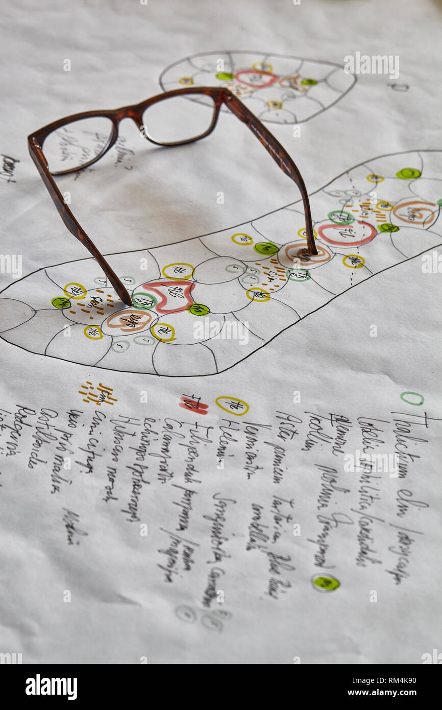 Piet Oudolf an seinem hummelo Garten. Ich habe viele mehr von seinem schönen Garten, das ist nur eine kleine Auswahl. Stockfoto