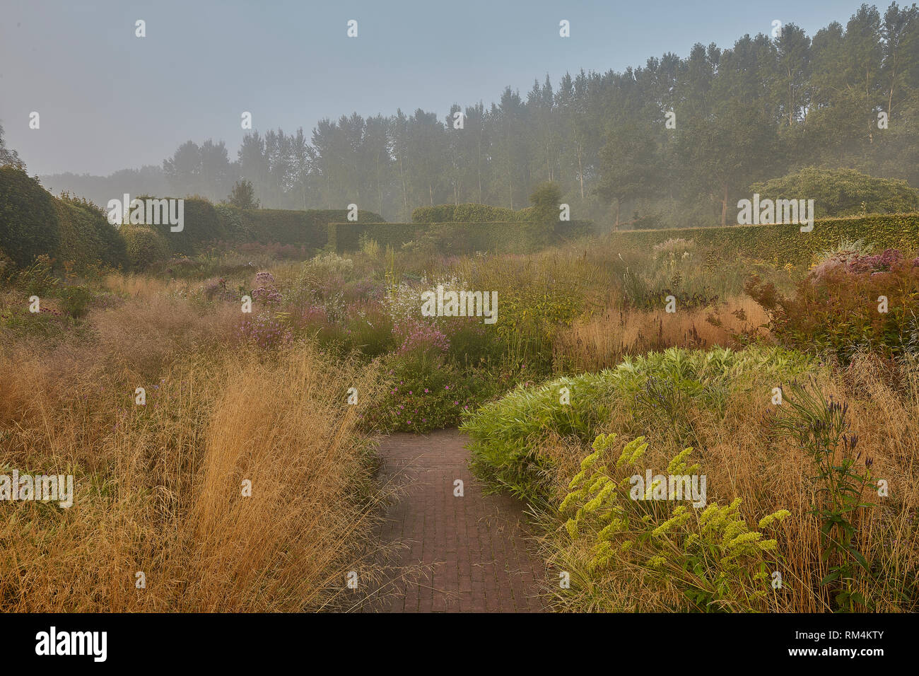 Piet Oudolf an seinem hummelo Garten. Ich habe viele mehr von seinem schönen Garten, das ist nur eine kleine Auswahl. Stockfoto