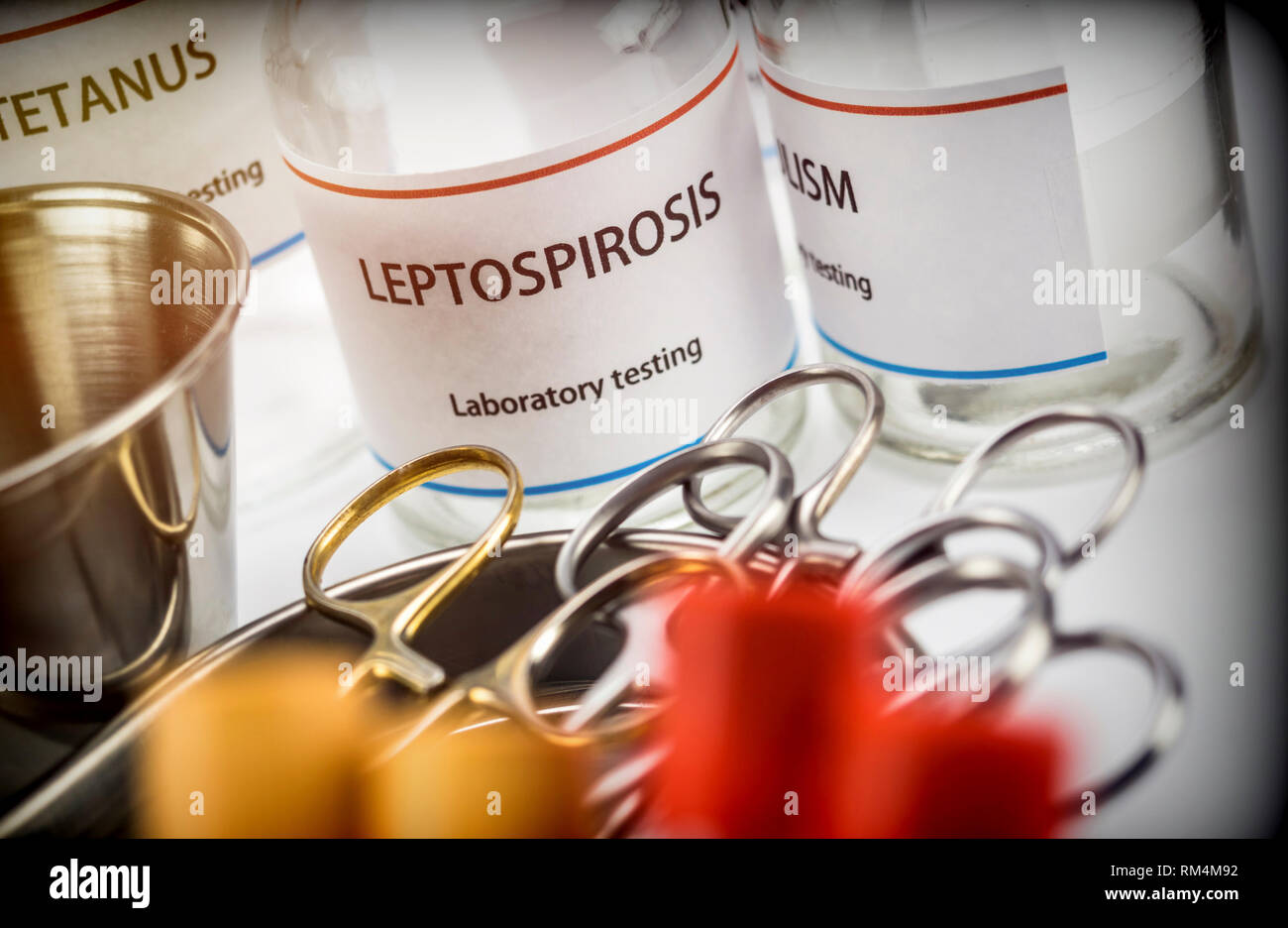 Test Leptospirose im Labor, in der konzeptionellen Bild, Komposition horizontal Stockfoto