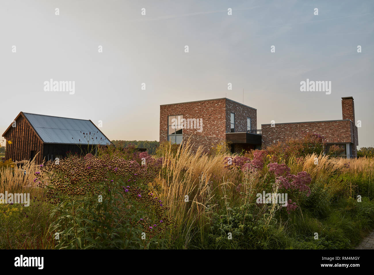 Piet Oudolf an seinem hummelo Garten. Ich habe viele mehr von seinem schönen Garten, das ist nur eine kleine Auswahl. Stockfoto