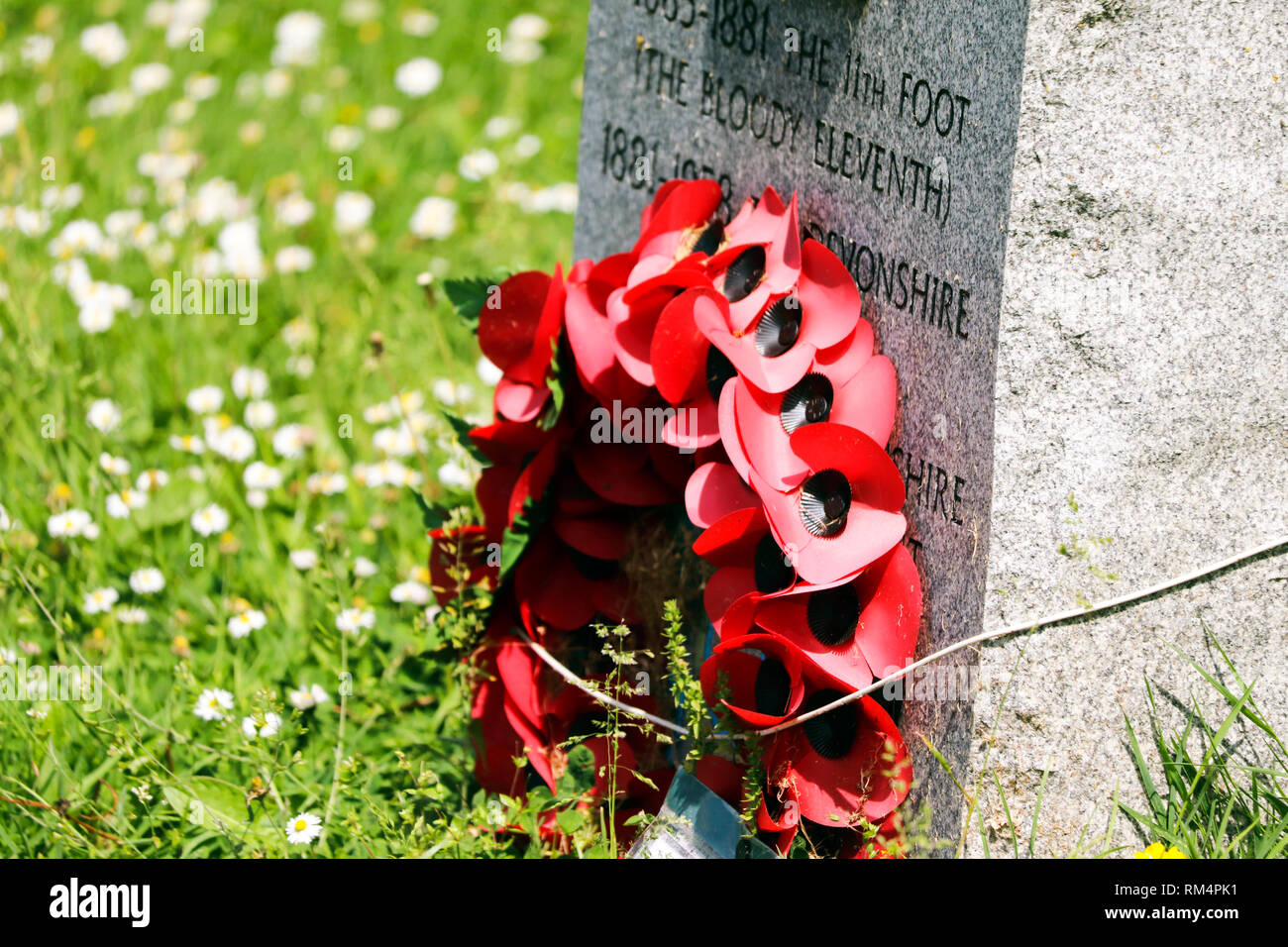 Mohnblumen auf Gedenkstein Stockfoto