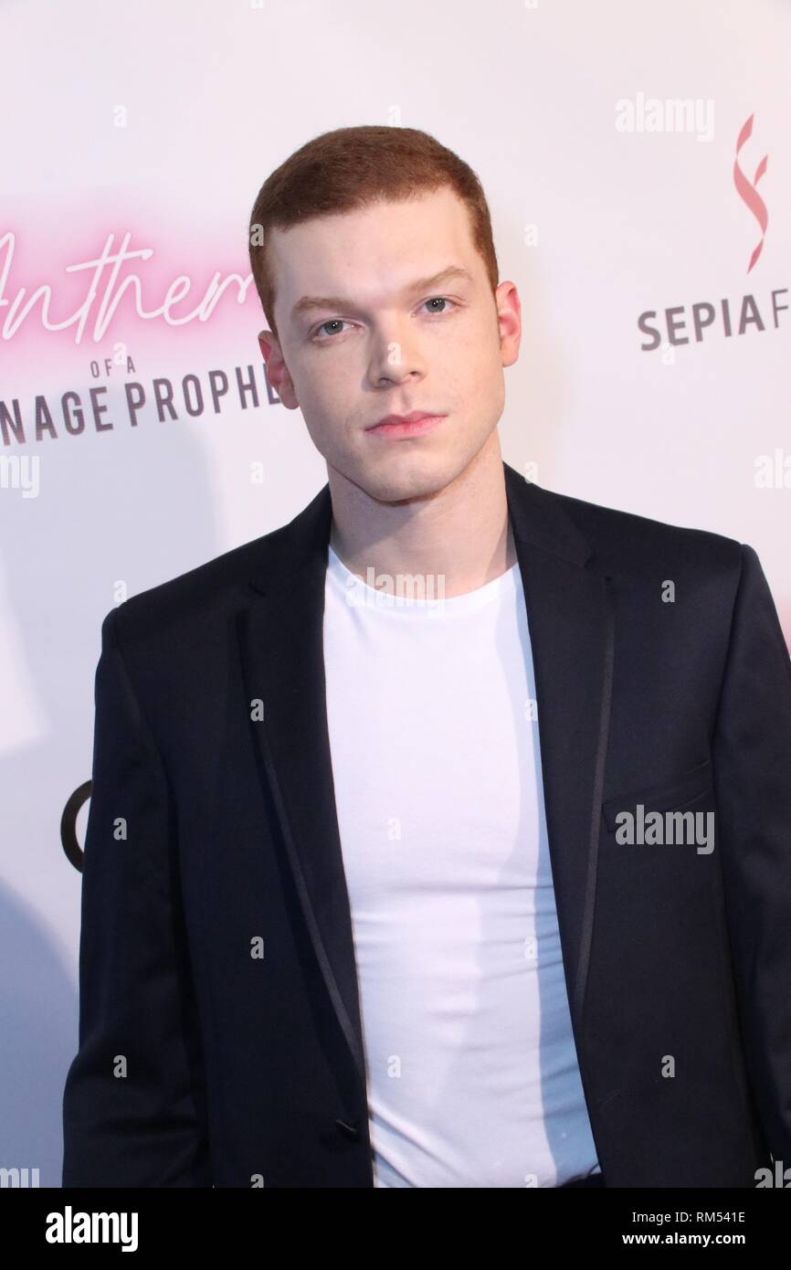 Premiere von "Hymne der ein Teenager Prophet' an der TCL Chinesisch 6 Theater in Los Angeles, Kalifornien statt. Mit: Cameron Monaghan Wo: Los Angeles, Kalifornien, Vereinigte Staaten, wenn: 11 Jan 2019 Credit: WENN.com Stockfoto