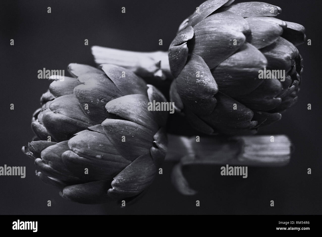 Noch immer leben von ein paar Artischocken Stockfoto