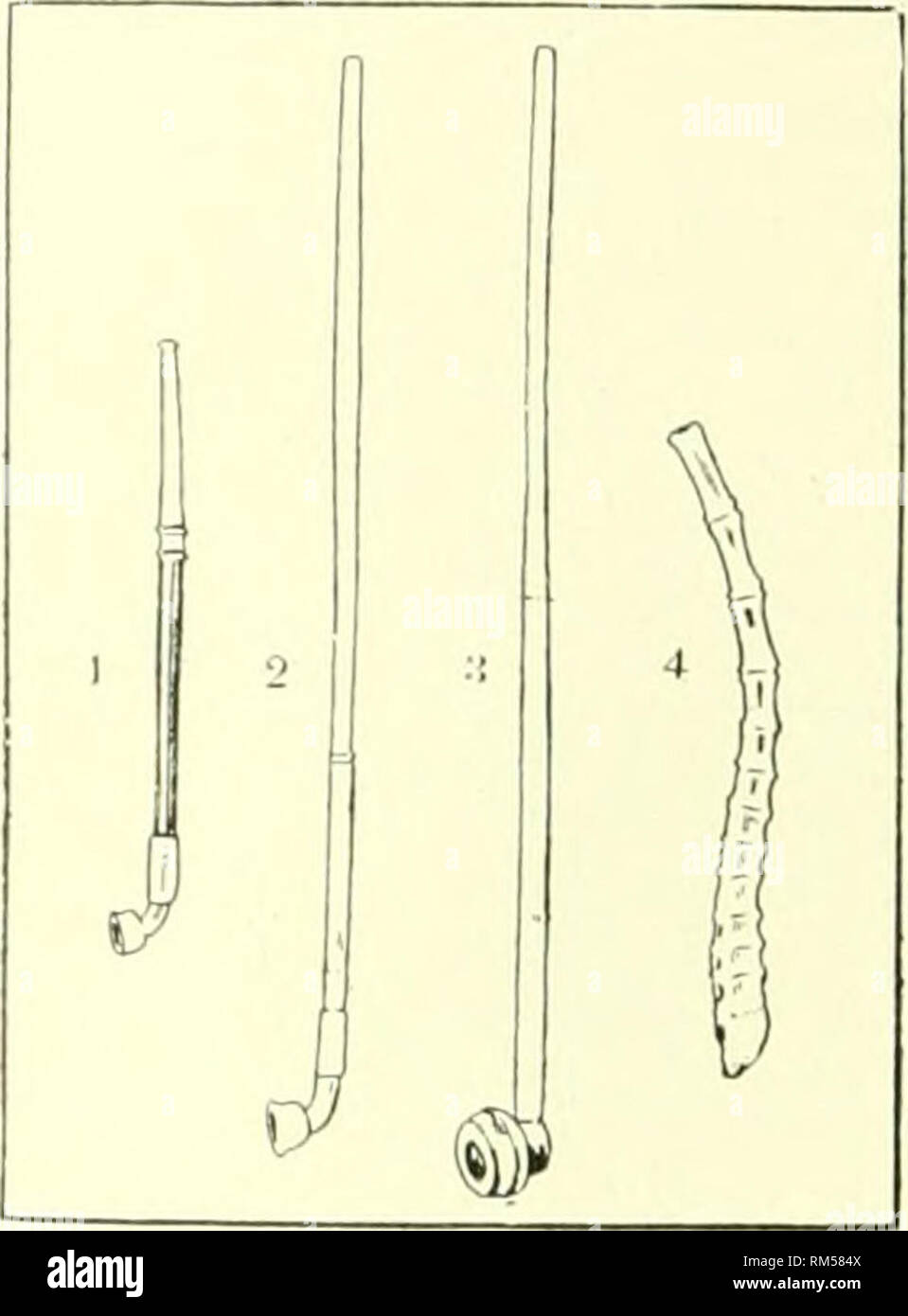 . Jahresbericht des Verwaltungsrats der Smithsonian Institution. Smithsonian Institution; Smithsonian Institution. Archive; Entdeckungen in der Wissenschaft. Erläuterung der Platte 1. Tibetische Rohre. F-B. 1. Moxtioi. Ich 'Li-K. Schüssel, der weißen Kupfer (Pekiug luamifactnre): Stamm der hamhoo. Moutbjjieee von Silber (Mongolische luauufactiire). Ts'aidani. ((Bin w. Ni). Ich (i7152. Us SERIENNR. M.), Abb. 2. TusETAX Pu'K. Chinesische Weiße cojjper Schüssel. Banihoo. Stengel. Bat'Aug. (Kat. Xo. V. iV. ni), US N.M.), Abb. .S. Lis.sr Ba. mhoo Leitung. Bug], der hamhoo root. Südöstlichen 'J' ihet. (': Il. X (s. V. nVM), V. S. K. AI.) Abb. 1. S. sr- Stockfoto