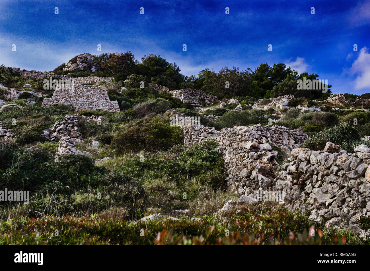 Trockenmauern in die Wilde Stockfoto