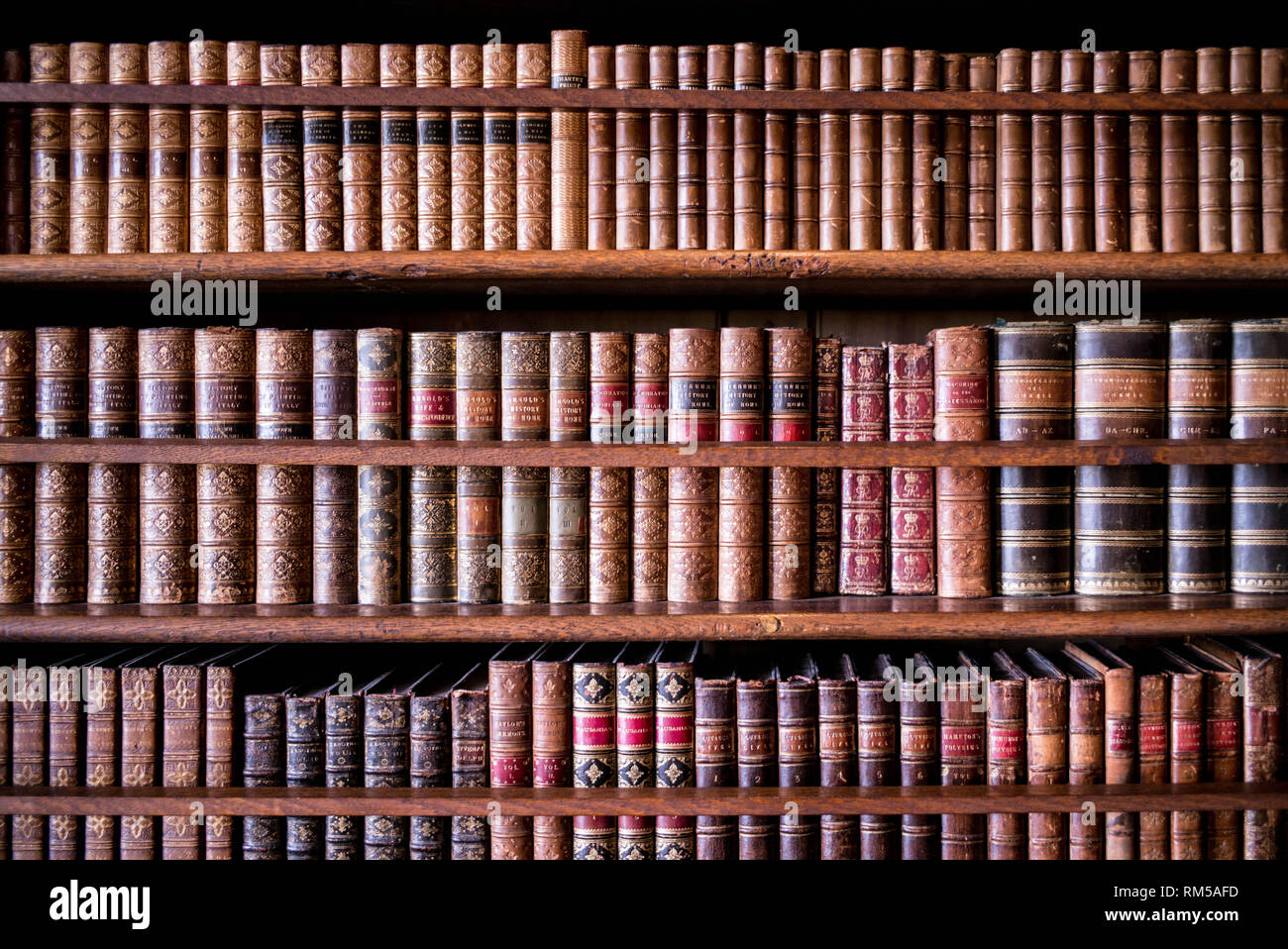 Leder gebundene Bücher. Die Bibliothek in Hatfield House. Stockfoto
