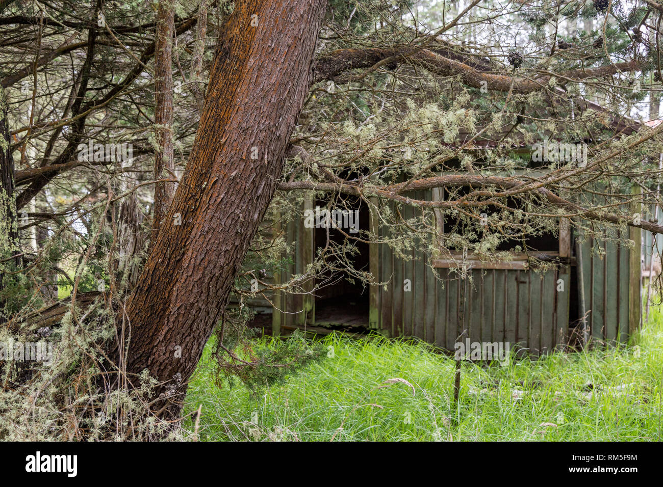 Verlassene Gebäude auf dem Mauna Kea Acces Straße auf der grossen Insel von Hawaii, USA. Stockfoto