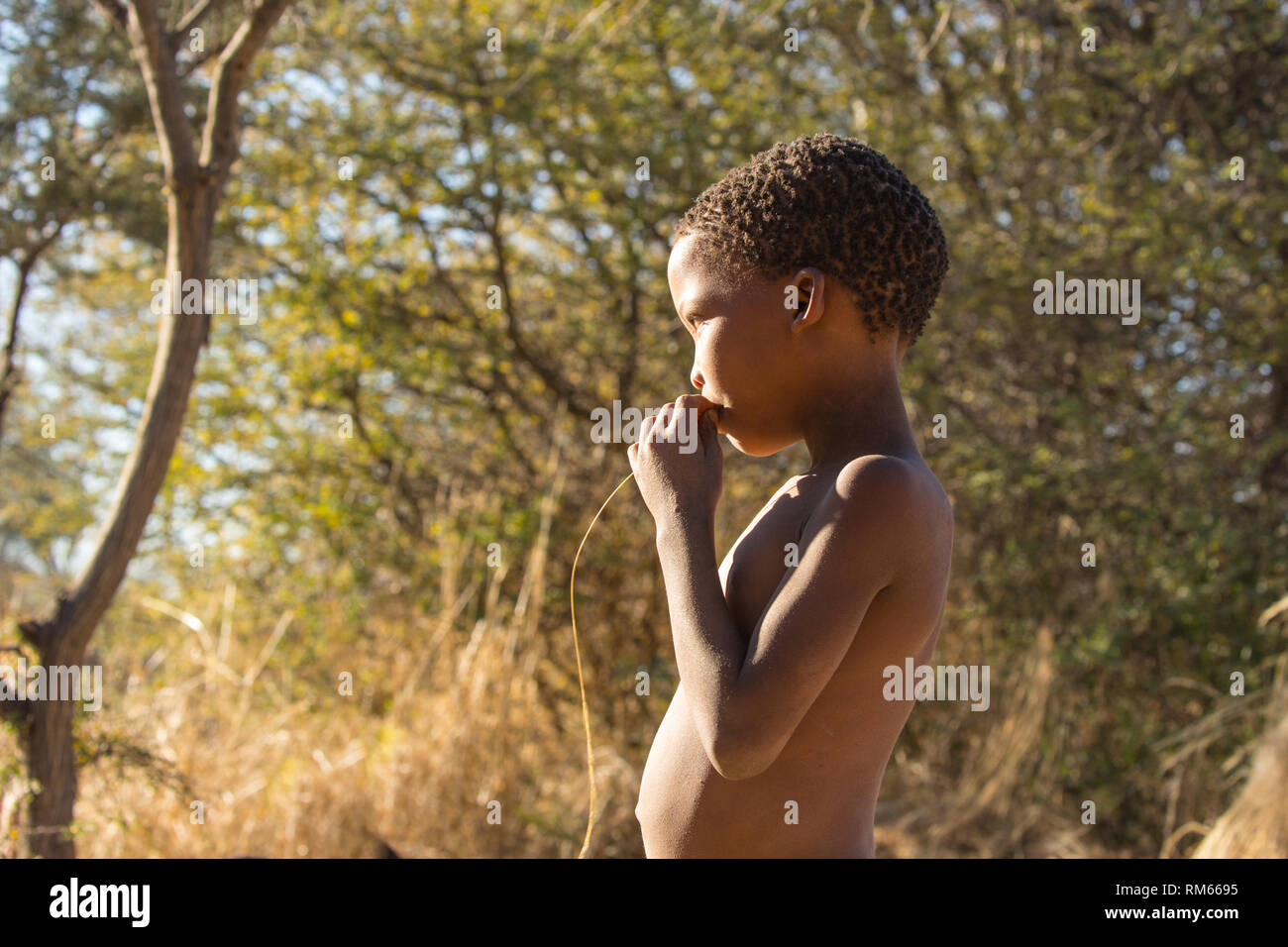 Porträt eines Bushman Kind. In Namibia fotografiert. Stockfoto