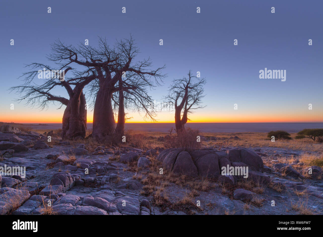 Blau vor Sonnenaufgang Stockfoto