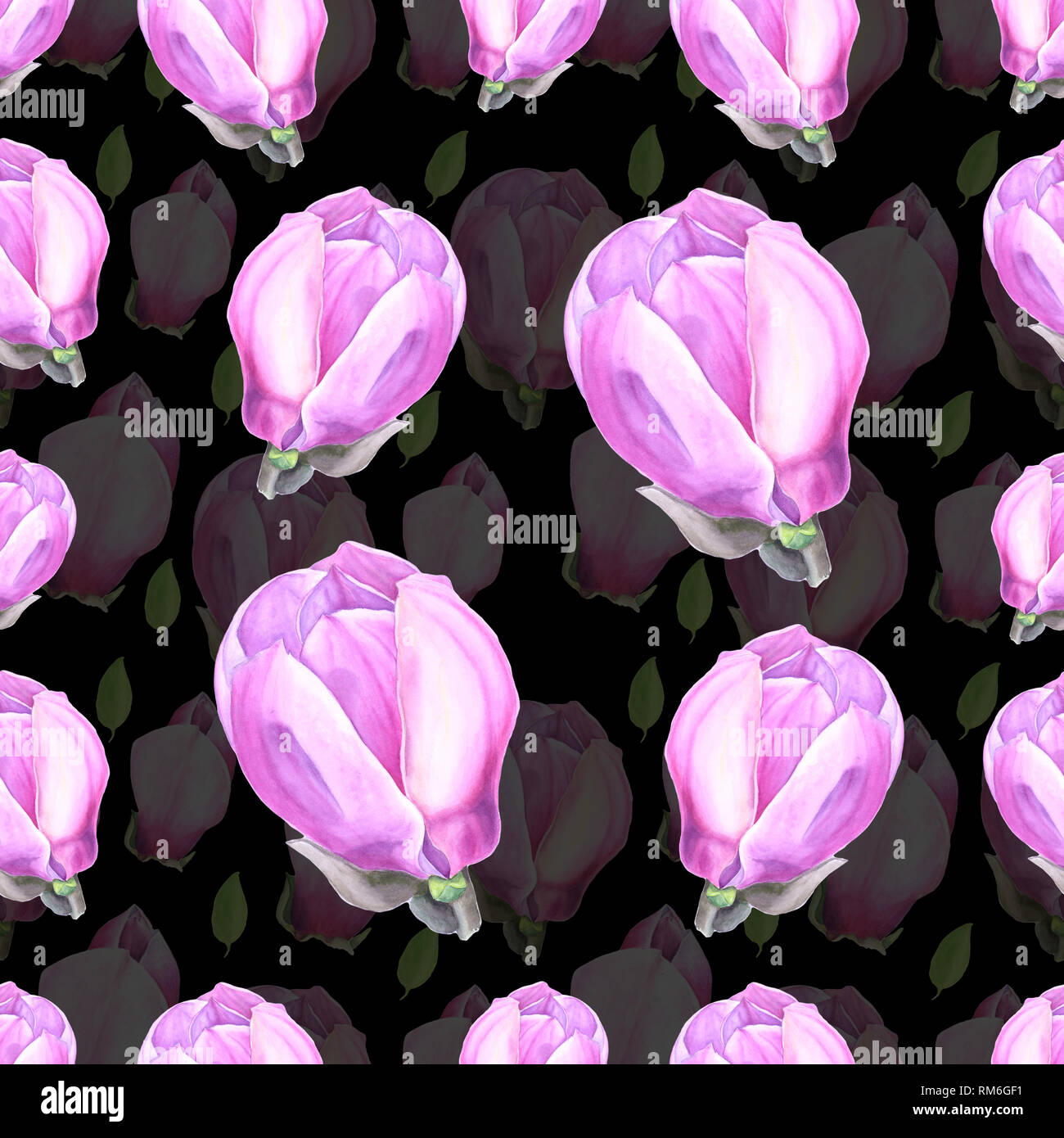 Aquarell nahtlose Muster mit Abbildung: zartes Rosa Magnolia Flower auf schwarzem Hintergrund Stockfoto