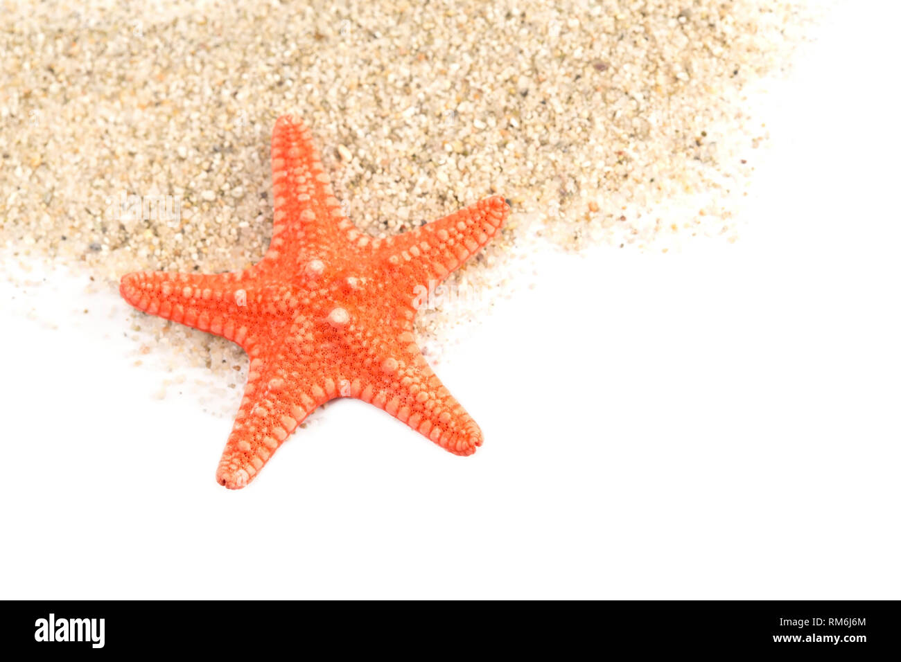 Sand und ein Seestern auf weißem Hintergrund Stockfoto