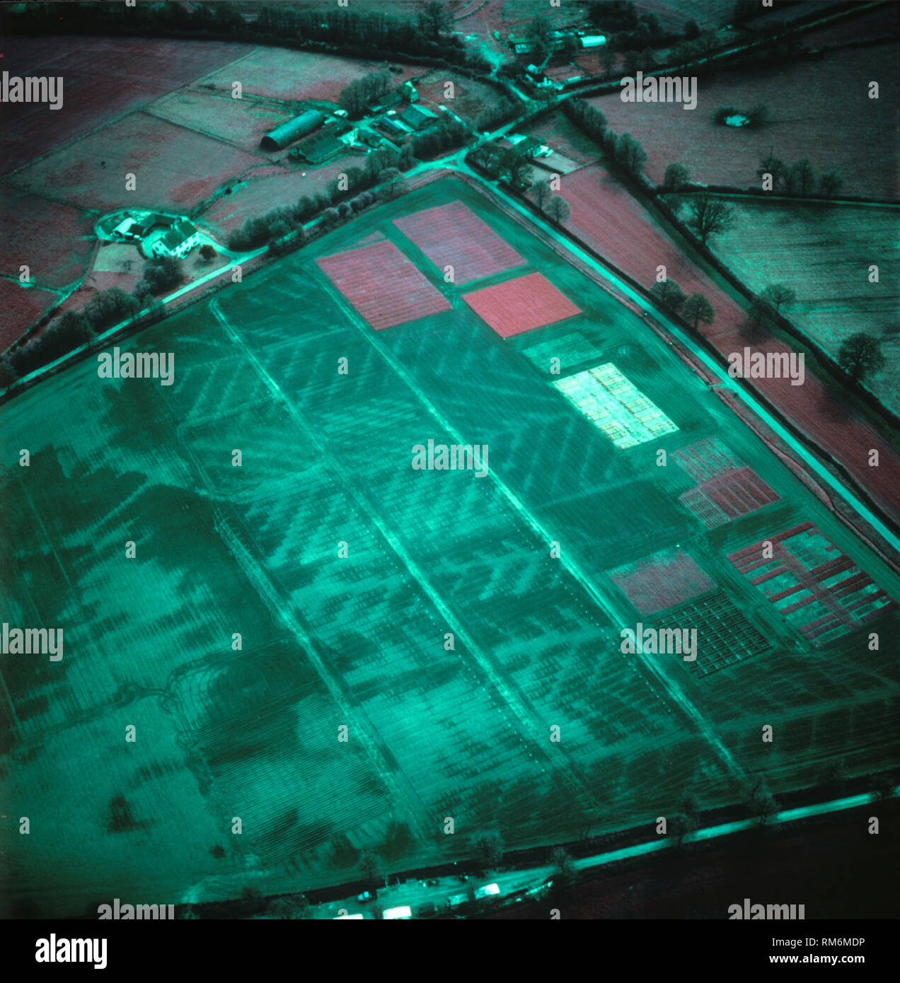 Falsche Farbe infrarot Luftbild vor allem brachliegende Feld dunkel Feuchtigkeitsgehalt zeigt seine Entwässerung Muster mit Rosa rote Flecken der Vegetation Stockfoto