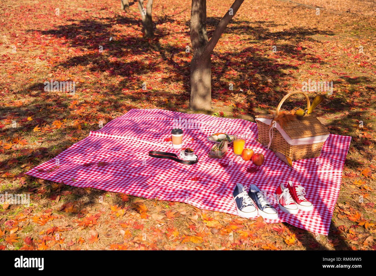 Farbenprächtige Herbstlandschaft im Park 070 Stockfoto