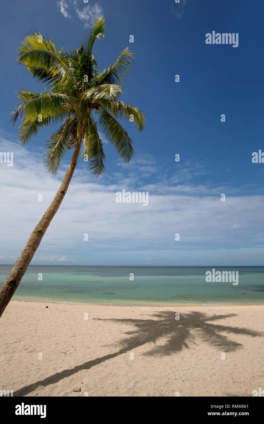 Coco Mutter Palmen Schatten zu einem weißen Sandstrand in einer ruhigen erholsamen Szene Stockfoto