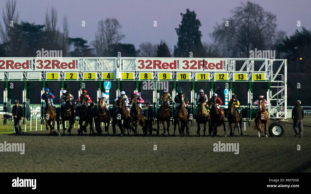 Pferde am Start der Racing TV Lehrling handicap Stangen bei Kempton Park Racecourse, Esher. Stockfoto