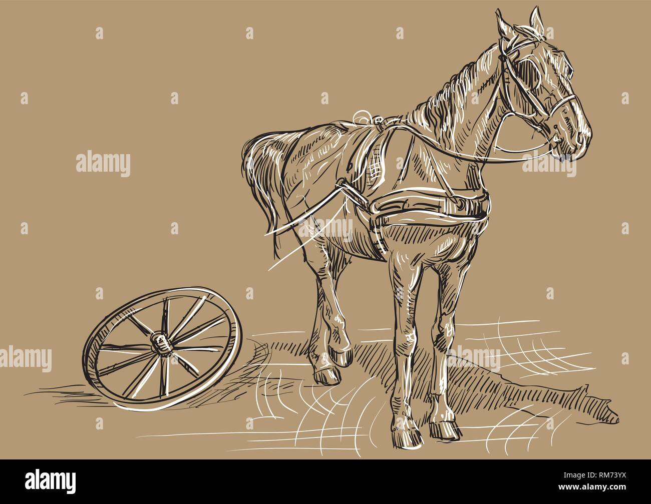 Vektor hand Zeichnung Abbildung: Pferd stehend im Profil mit Karre Rad. Monochromen vector hand Zeichnung Skizze Abbildung in Schwarz und Weiß colo Stock Vektor