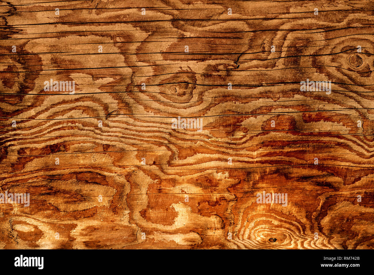 Nahaufnahme eines alten Reiches Holzmaserung Textur Hintergrund mit Rissen und Knoten. Stockfoto