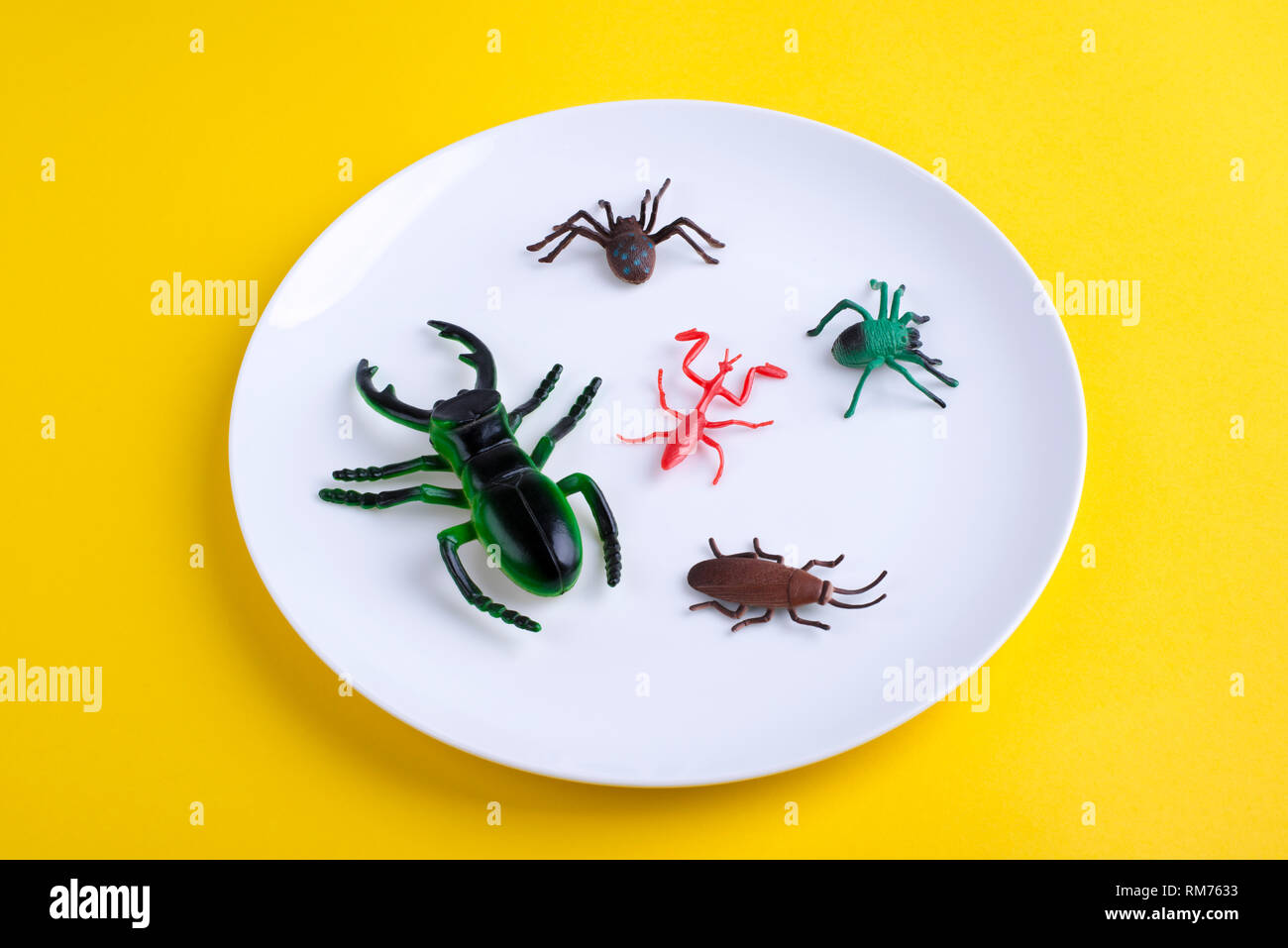 Satz von Insekten auf weiße Platte. Stockfoto