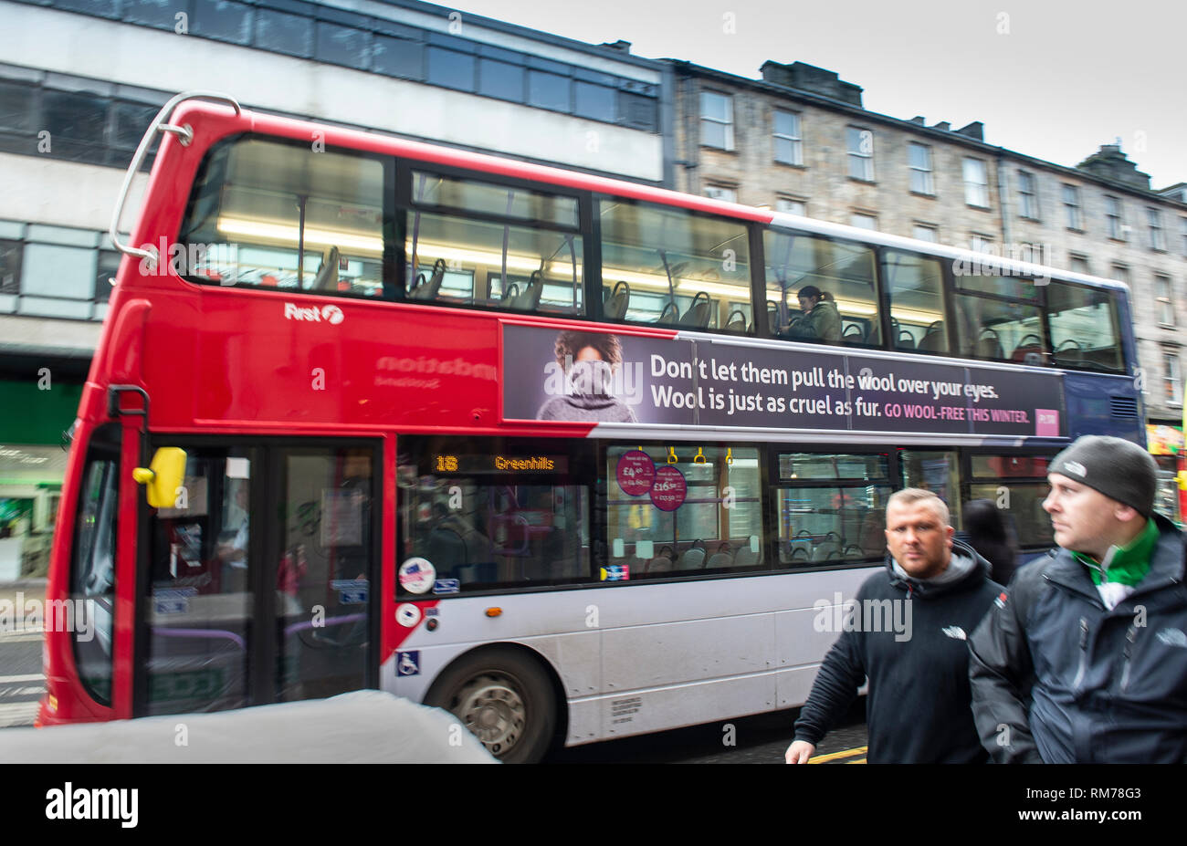 Ein PETA Anzeige auf der Seite einer Glasgow Bus. (Menschen für die ethische Behandlung von Tieren.) Anzeige sagt 'Don't lassen Sie die Wolle über die Augen ziehen. Stockfoto