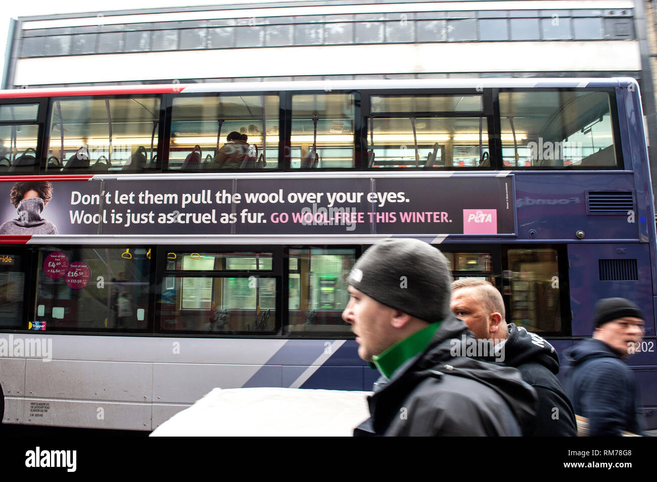 Ein PETA Anzeige auf der Seite einer Glasgow Bus. (Menschen für die ethische Behandlung von Tieren.) Anzeige sagt 'Don't lassen Sie die Wolle über die Augen ziehen. Stockfoto