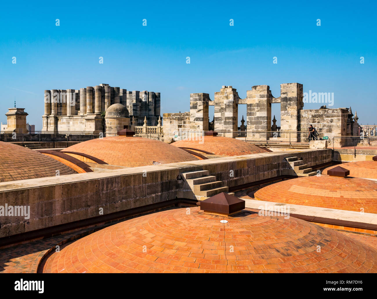 Ungewöhnliche gewölbte Ziegel Dach, Kathedrale Basilica, Malaga, Andalusien, Spanien Stockfoto